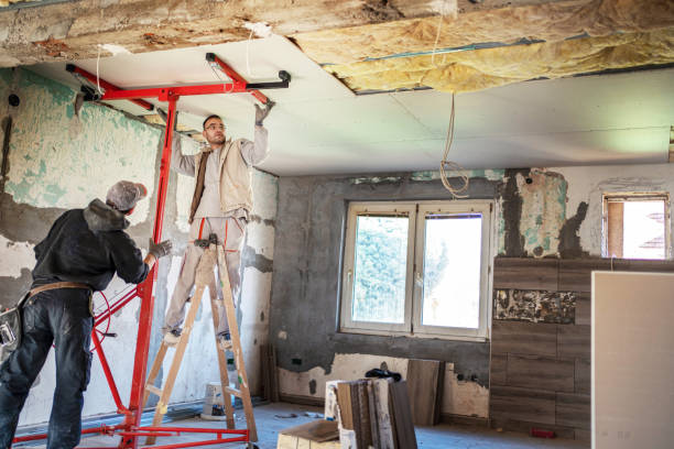 Best Cellulose Insulation in Stevenson Ranch, CA